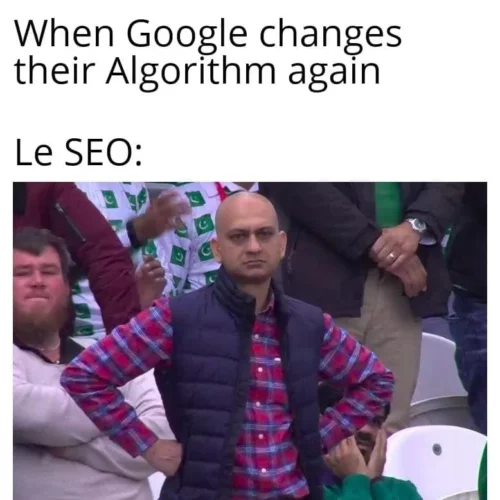 seo meme 2024