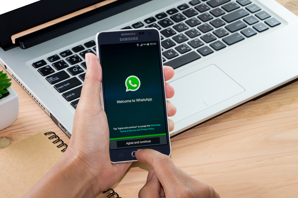 pro e contro whatsapp business