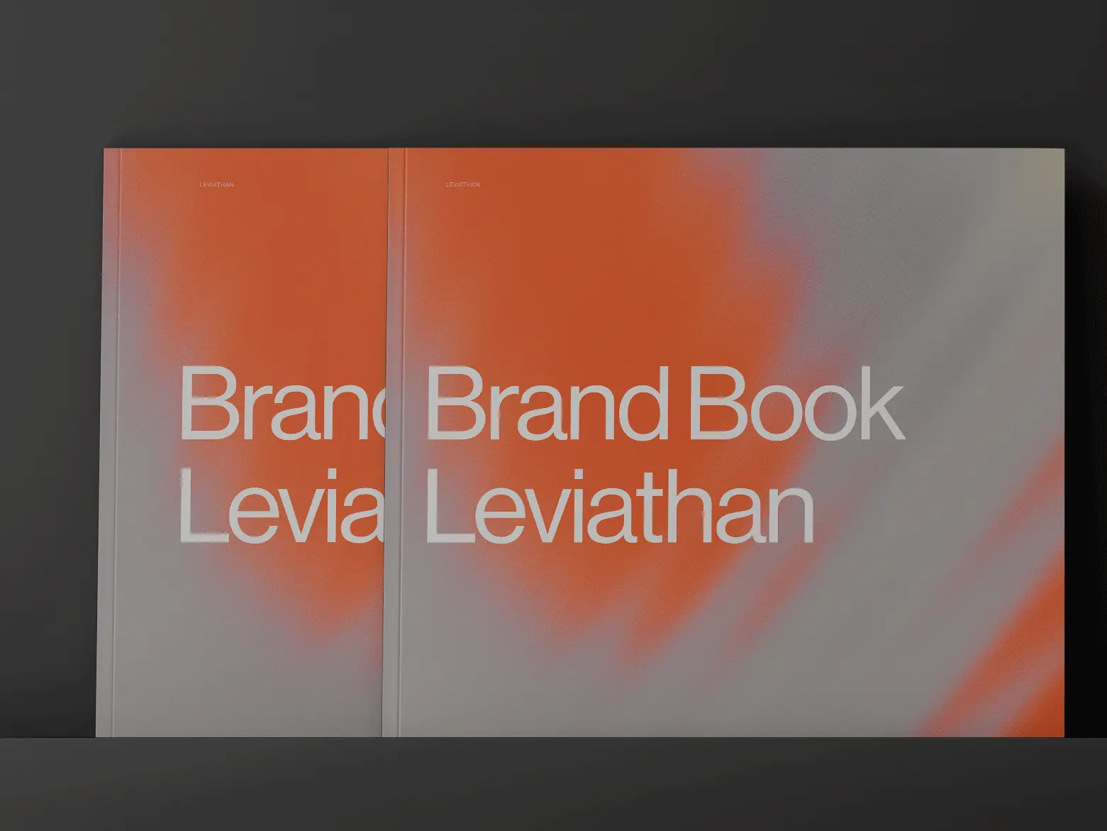 Preview Brand Book